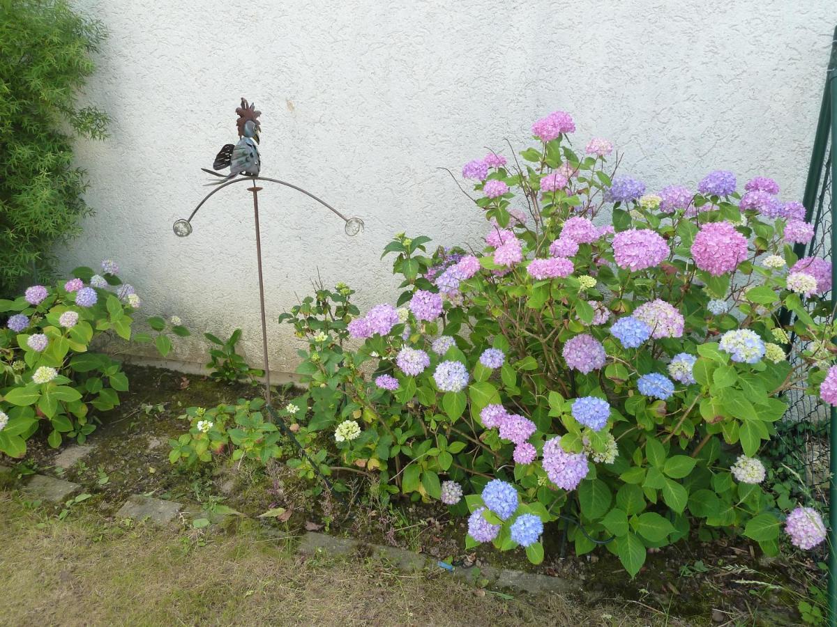 Garteneckchen Emmendingen Exterior foto