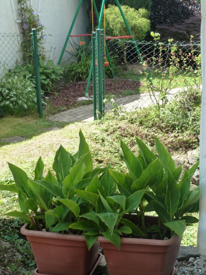 Garteneckchen Emmendingen Exterior foto