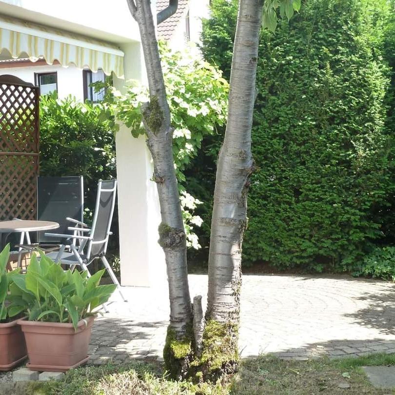 Garteneckchen Emmendingen Exterior foto